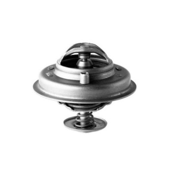 Engine Coolant Thermostat