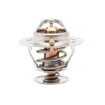 Engine Coolant Thermostat