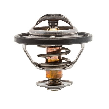 Engine Coolant Thermostat