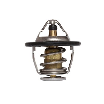 Engine Coolant Thermostat