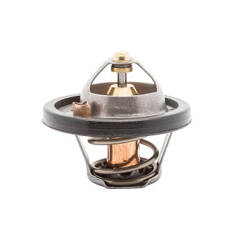 Engine Coolant Thermostat