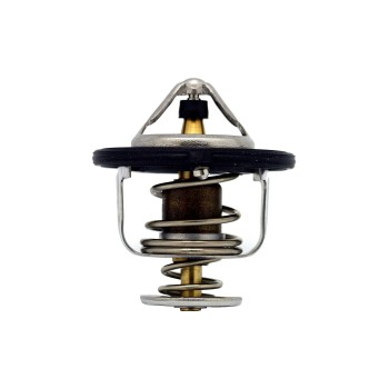 Engine Coolant Thermostat