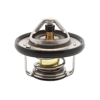 Engine Coolant Thermostat