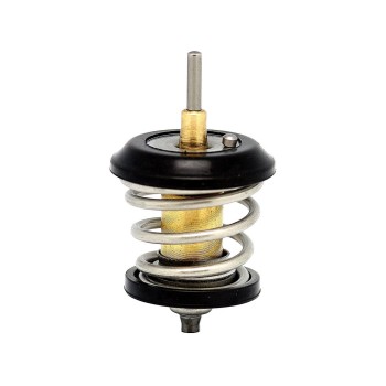 Engine Coolant Thermostat