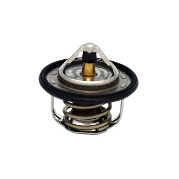 Engine Coolant Thermostat