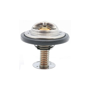 Engine Coolant Thermostat