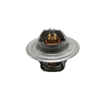 Engine Coolant Thermostat
