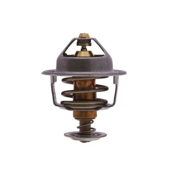 Engine Coolant Thermostat