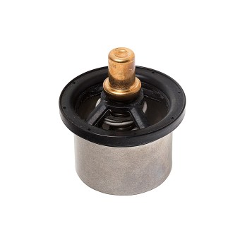 Engine Coolant Thermostat