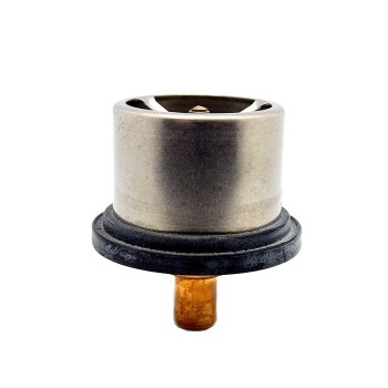 Engine Coolant Thermostat