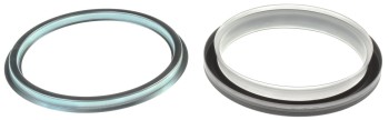Engine Crankshaft Seal