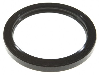 Engine Crankshaft Seal