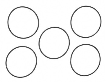 Engine Coolant Thermostat Seal