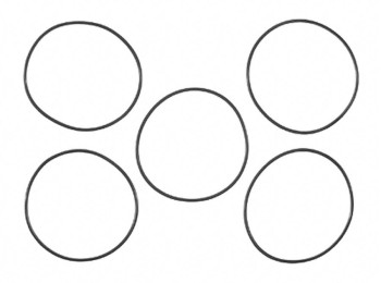 Engine Oil Cooler O-Ring