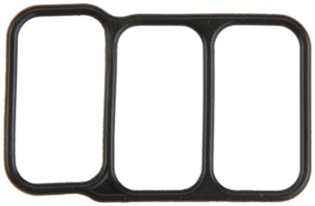 Fuel Injection Idle Air Control Valve Gasket