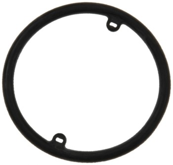 Engine Oil Cooler Gasket