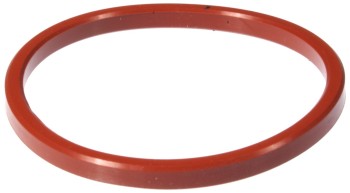 Engine Oil Cooler Gasket