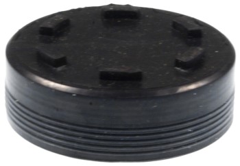 Engine Camshaft Plug