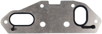 Engine Oil Cooler Gasket