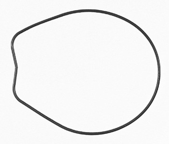 Engine Oil Pump Gasket