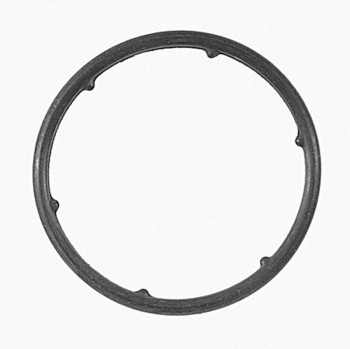 Engine Water Pump Gasket