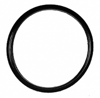 Engine Coolant Outlet Gasket
