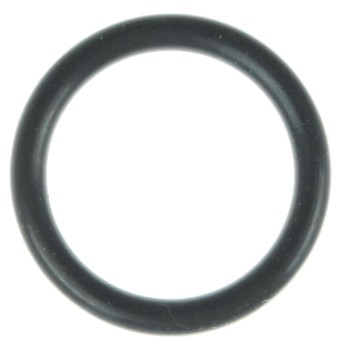Engine Coolant Pipe O-Ring