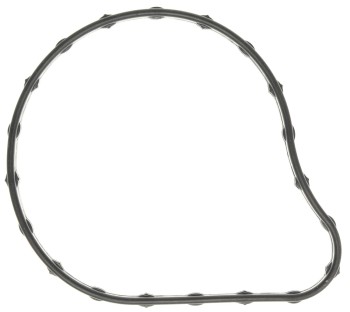 Engine Coolant Thermostat Gasket