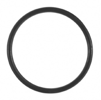 Catalytic Converter Gasket