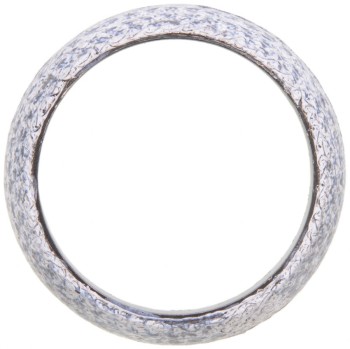 Catalytic Converter Gasket