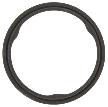 Catalytic Converter Gasket