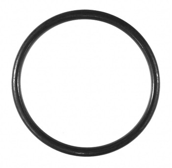 Catalytic Converter Gasket
