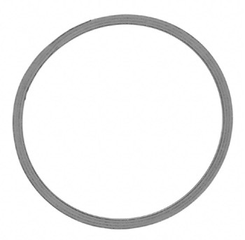 Catalytic Converter Gasket