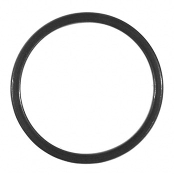 Catalytic Converter Gasket