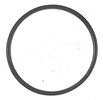 Catalytic Converter Gasket