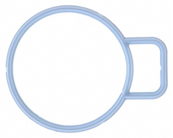 Fuel Injection Throttle Body Mounting Gasket