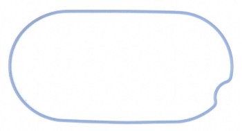 Fuel Injection Throttle Body Mounting Gasket