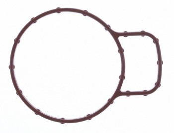 Fuel Injection Throttle Body Mounting Gasket