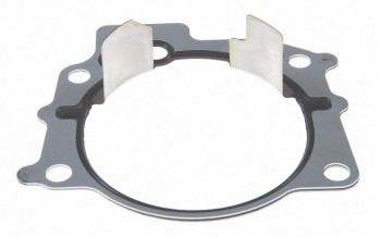 Fuel Injection Throttle Body Mounting Gasket
