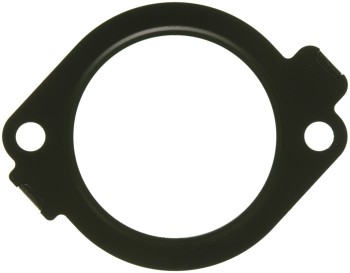 Fuel Injection Plenum Gasket