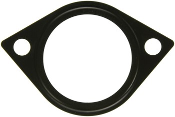 Fuel Injection Plenum Gasket