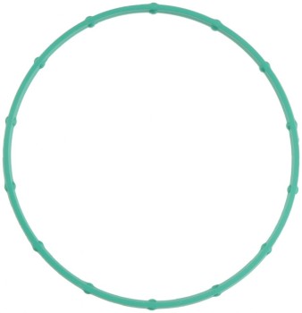 Fuel Injection Throttle Body Mounting Gasket