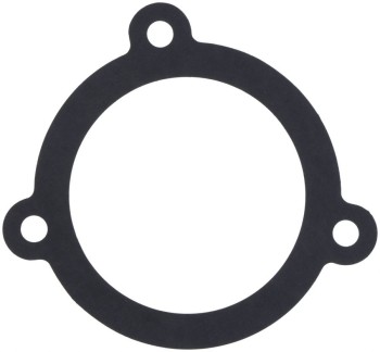 Fuel Injection Throttle Body Mounting Gasket