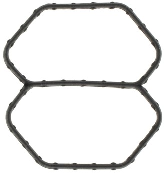 Fuel Injection Idle Air Control Valve Gasket