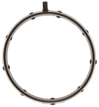Exhaust Gas Recirculation (EGR) Valve Gasket