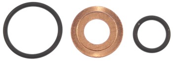 Fuel Injector Seal Kit