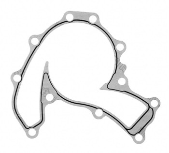 Engine Water Pump Gasket