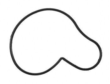 Engine Water Pump Gasket