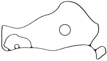 Engine Water Pump Gasket