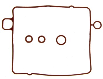 Fuel Injection Plenum Gasket